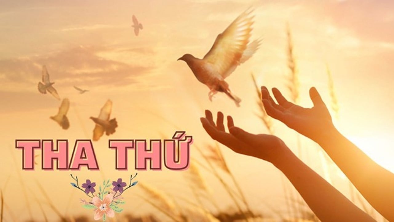 Hãy tha thứ cho người làm tổn thương bạn, ác nghiệp mà họ gây ra sẽ trở thành tu hành của chúng ta