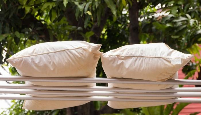 Làm sạch vỏ gối bao lâu một lần, vệ sinh thế nào?